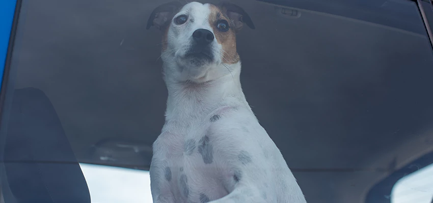 Car Lockout Solutions in Durham, California